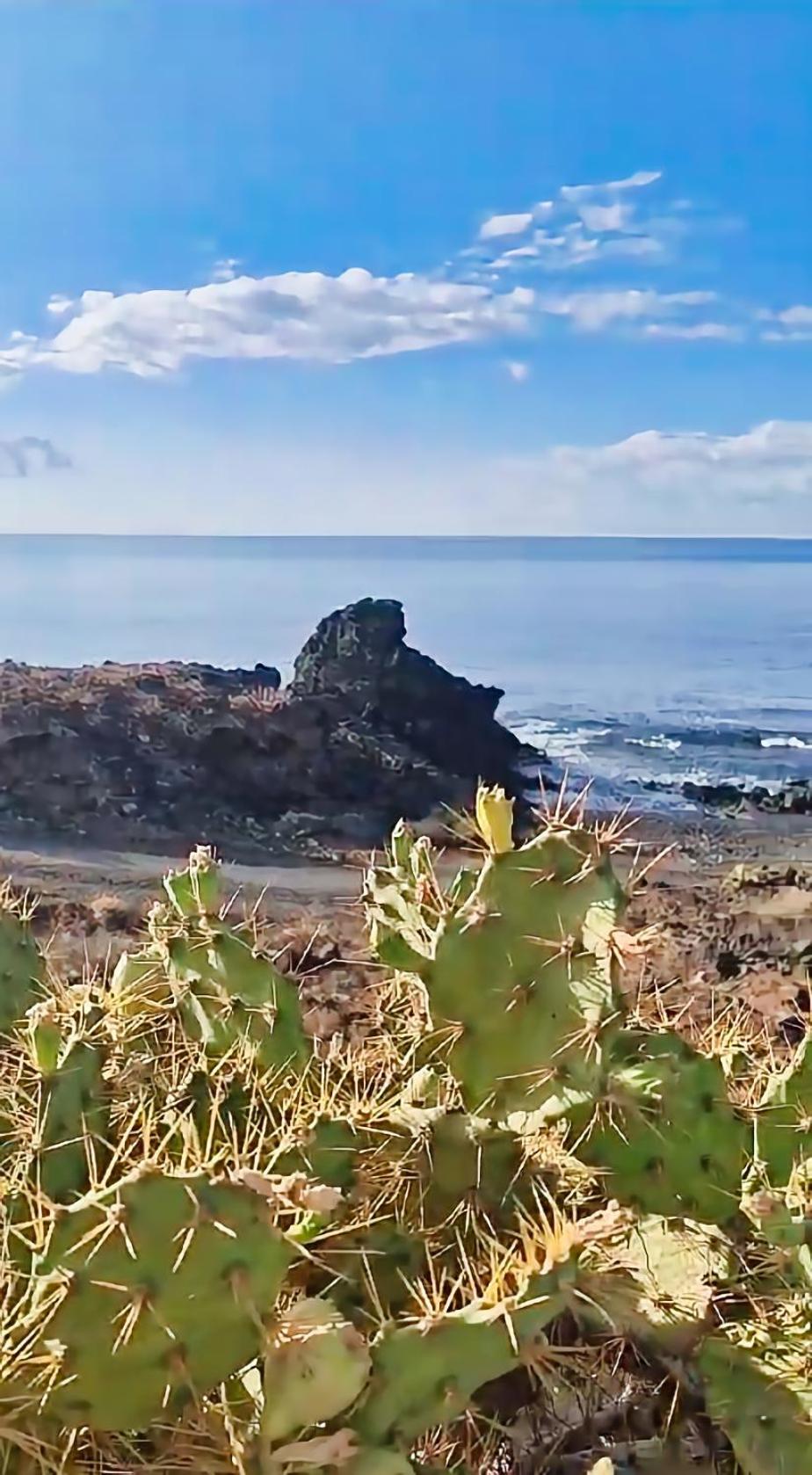 Casa Palmu Apartment - A Peaceful And Relaxing Oasis In Golf Del Sur, Tenerife San Miguel de Abona Ngoại thất bức ảnh