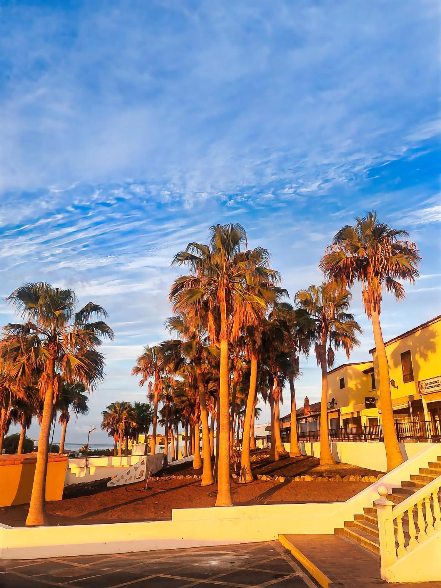 Casa Palmu Apartment - A Peaceful And Relaxing Oasis In Golf Del Sur, Tenerife San Miguel de Abona Ngoại thất bức ảnh