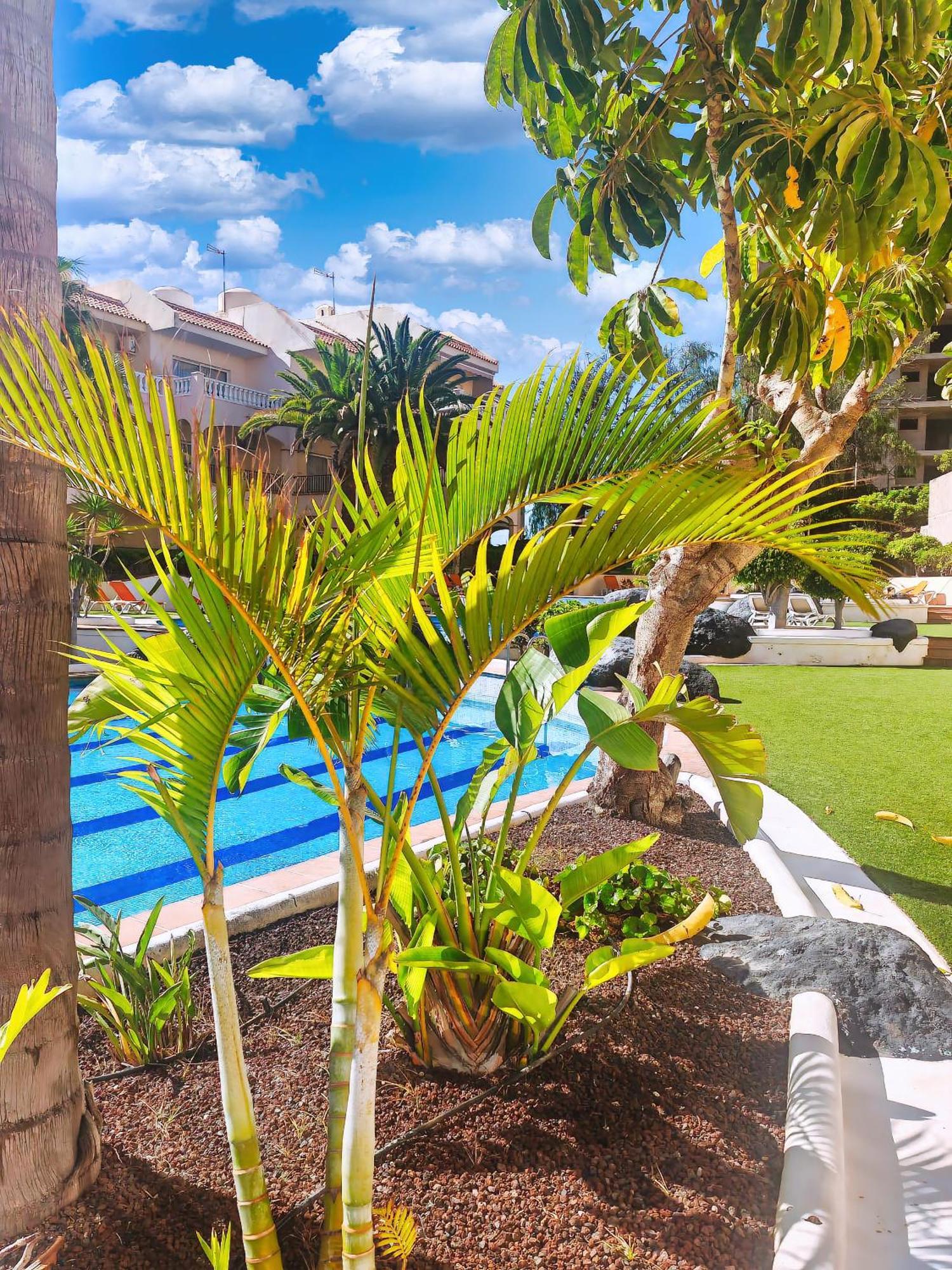 Casa Palmu Apartment - A Peaceful And Relaxing Oasis In Golf Del Sur, Tenerife San Miguel de Abona Ngoại thất bức ảnh